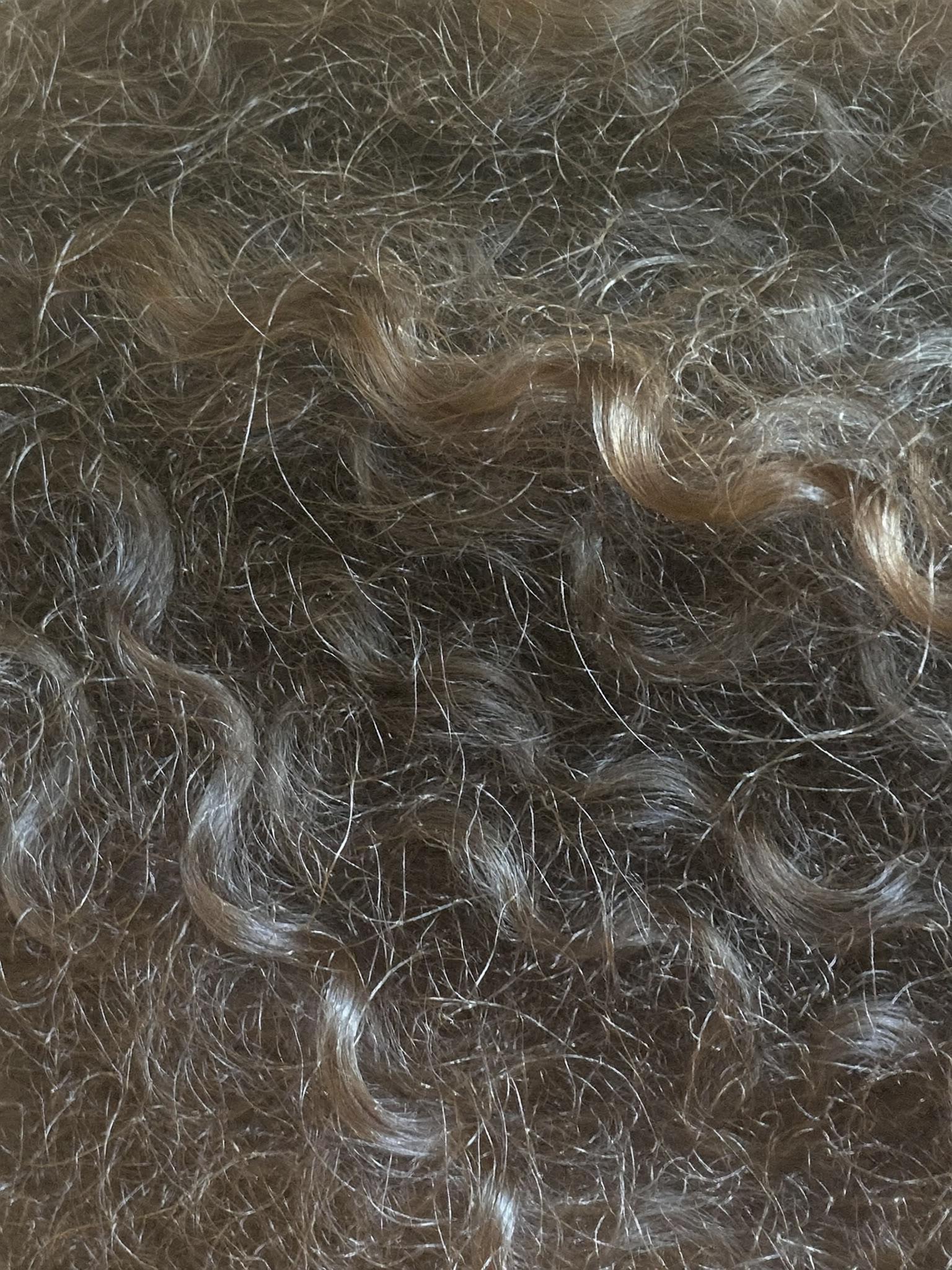 A close study of natural spiral curl texture filling the frame